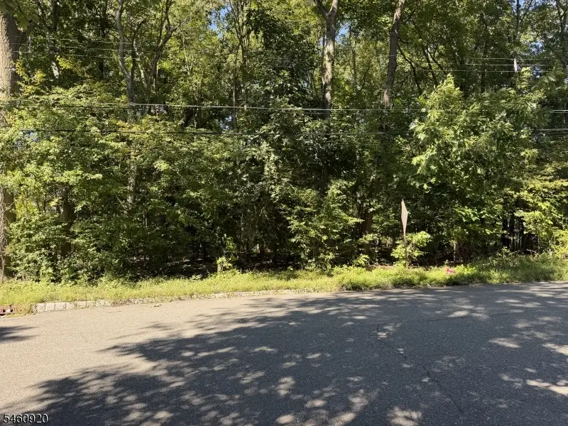 74 Preston Rd, Troy Hills, NJ 07054 - #3