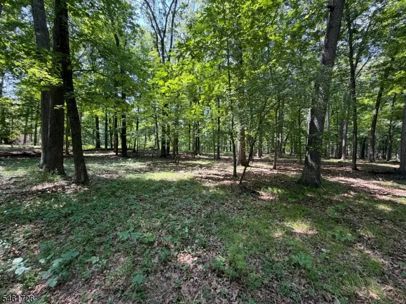 24 Shagbark Ln, Whitehouse Station, NJ 08889 - #2