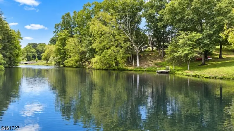 12 Craig Rd, Readington, NJ 08853 - #2
