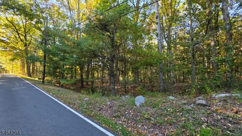 0 Hotalen Rd, Sandyston, NJ 07826 - #1