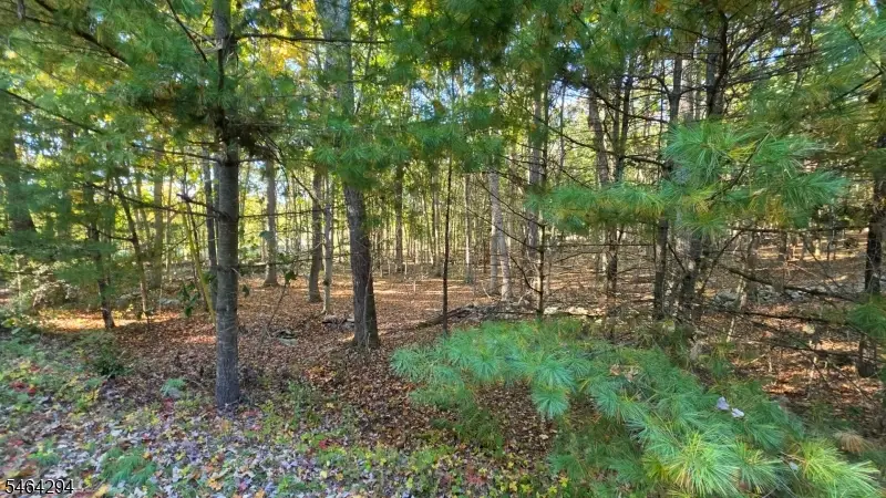 0 Hotalen Rd, Sandyston, NJ 07826 - #2