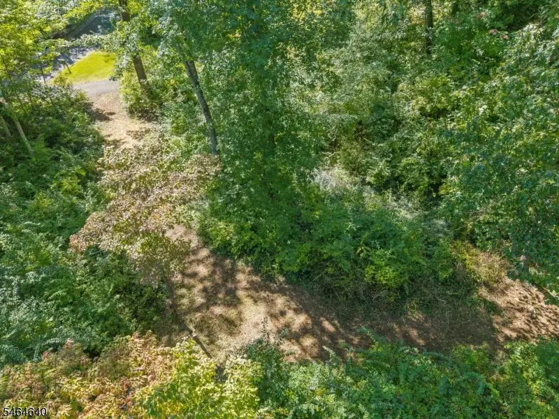 50 Mountain Ave, Chatham, NJ 07928 - #3