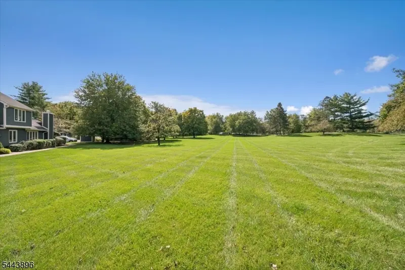 10 Village Dr, Lyons, NJ 07920 - #3