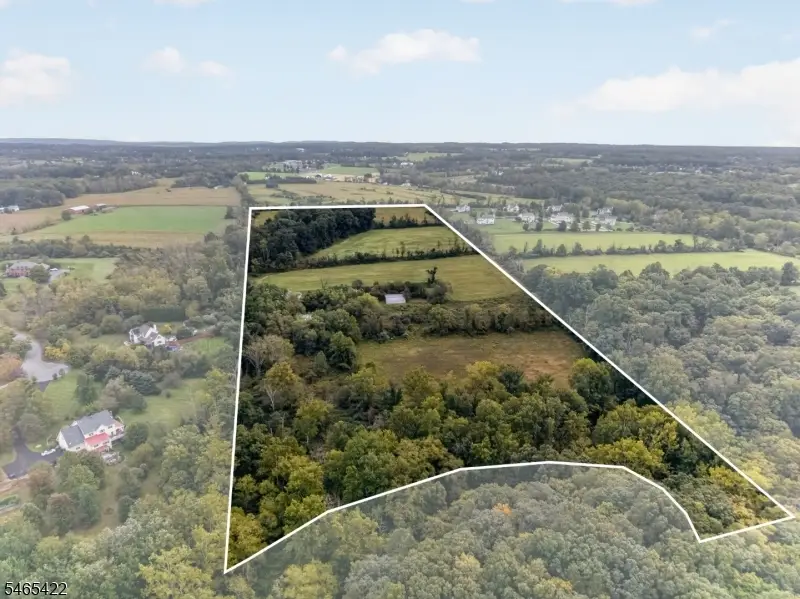 1599 County Road 519, Alexandria, NJ 08825 - #1