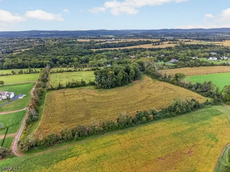 1599 County Road 519, Alexandria, NJ 08825 - #3