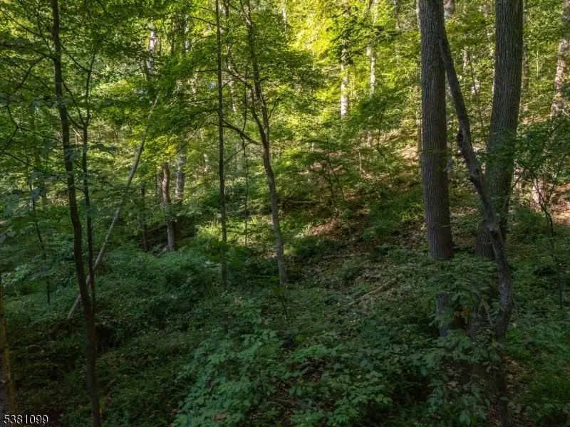 00 Sweet Hollow Road, Holland, NJ 08848 - #3