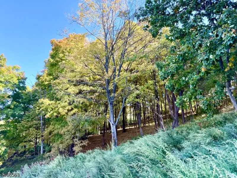 109 Munsonhurst Rd, Franklin, NJ 07416 - #1