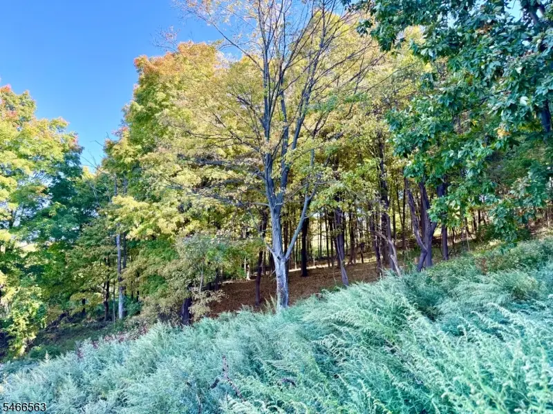 109 Munsonhurst Rd, Franklin, NJ 07416 - #2