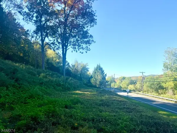 113 Munsonhurst Rd, Franklin Boro, NJ 07416
