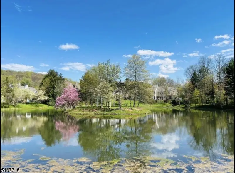 1 Teal Ln, The Hills, NJ 07921 - #1