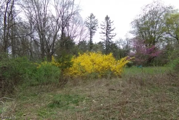 8 Hill Rd, Montague Twp., NJ 07827