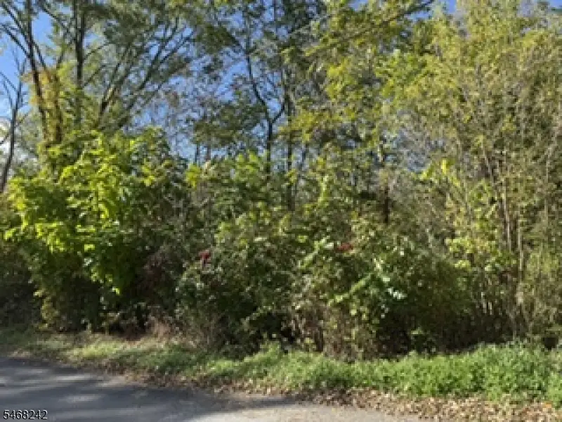 15 Hill St, Sussex, NJ 07461 - #1