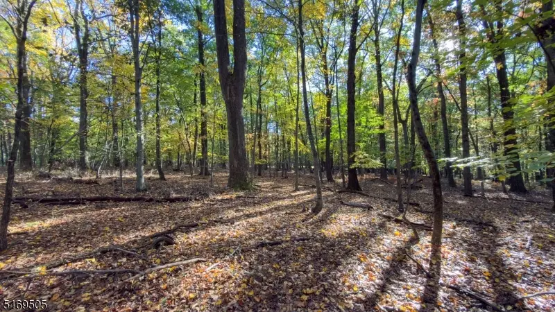 37 Lt Hooper Rd, Alexandria, NJ 08848 - #3