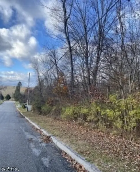 6 Myrtle Dr, Montague, NJ 07827 - #1