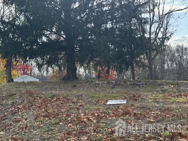 -1207 Marlboro Road, Old Bridge, NJ 08857 - Image #3