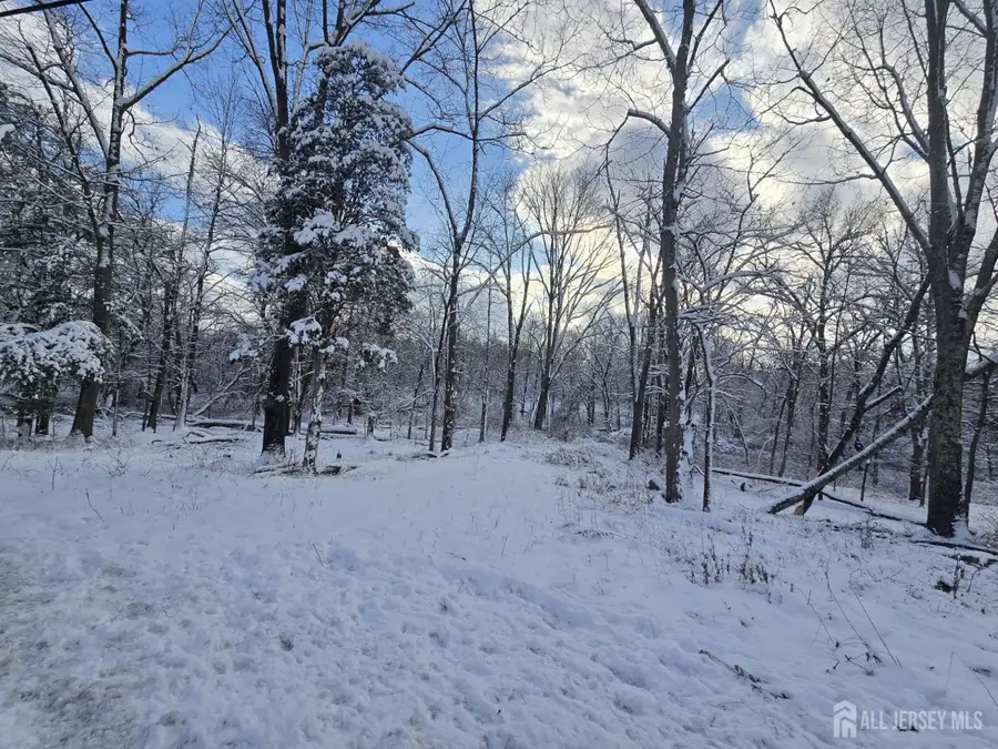 -121 Bellemead Griggstown Road, Montgomery, NJ 08502 - Image #3