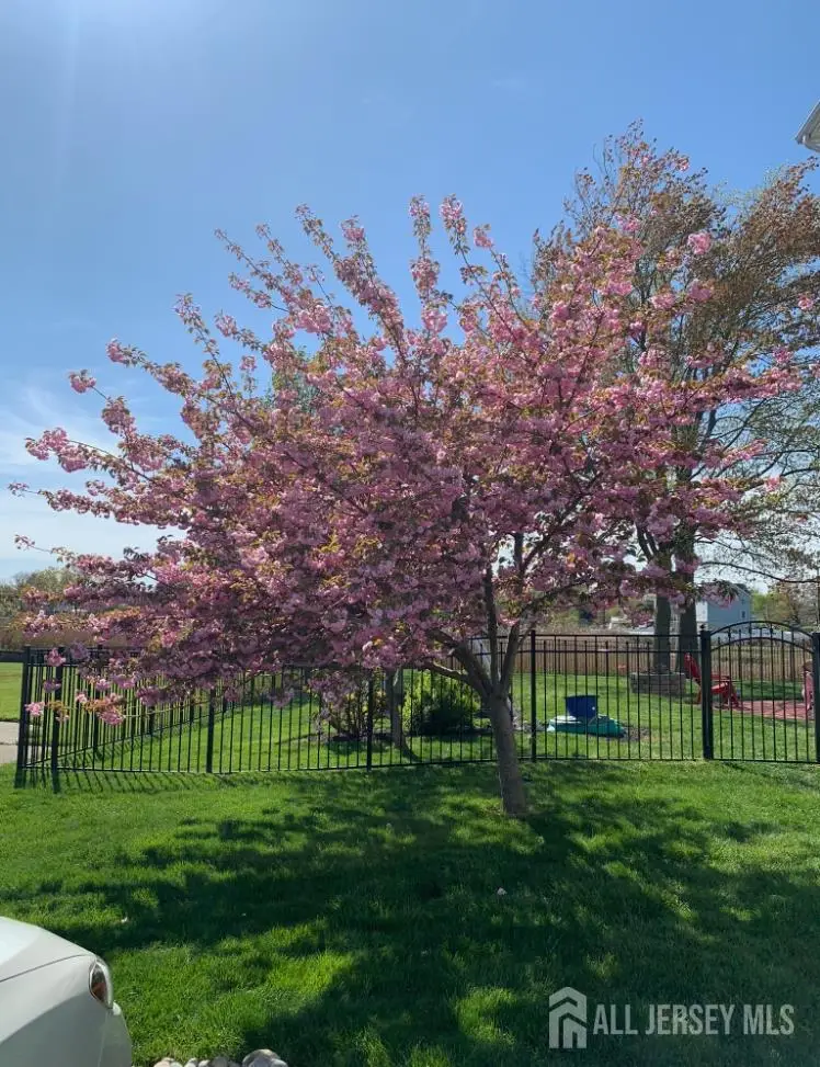 -911 Harris Avenue, Union Beach, NJ 07735 - #2