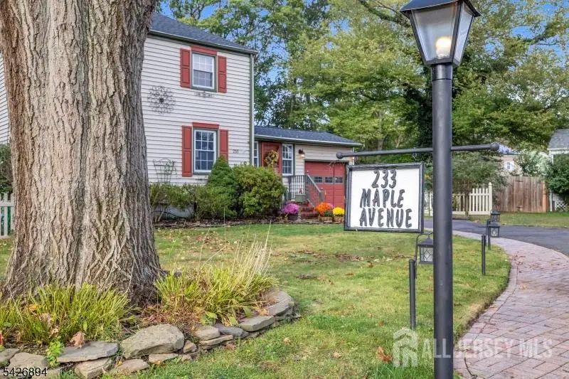 -233 Maple Avenue, Dunellen, NJ 08812 - #3