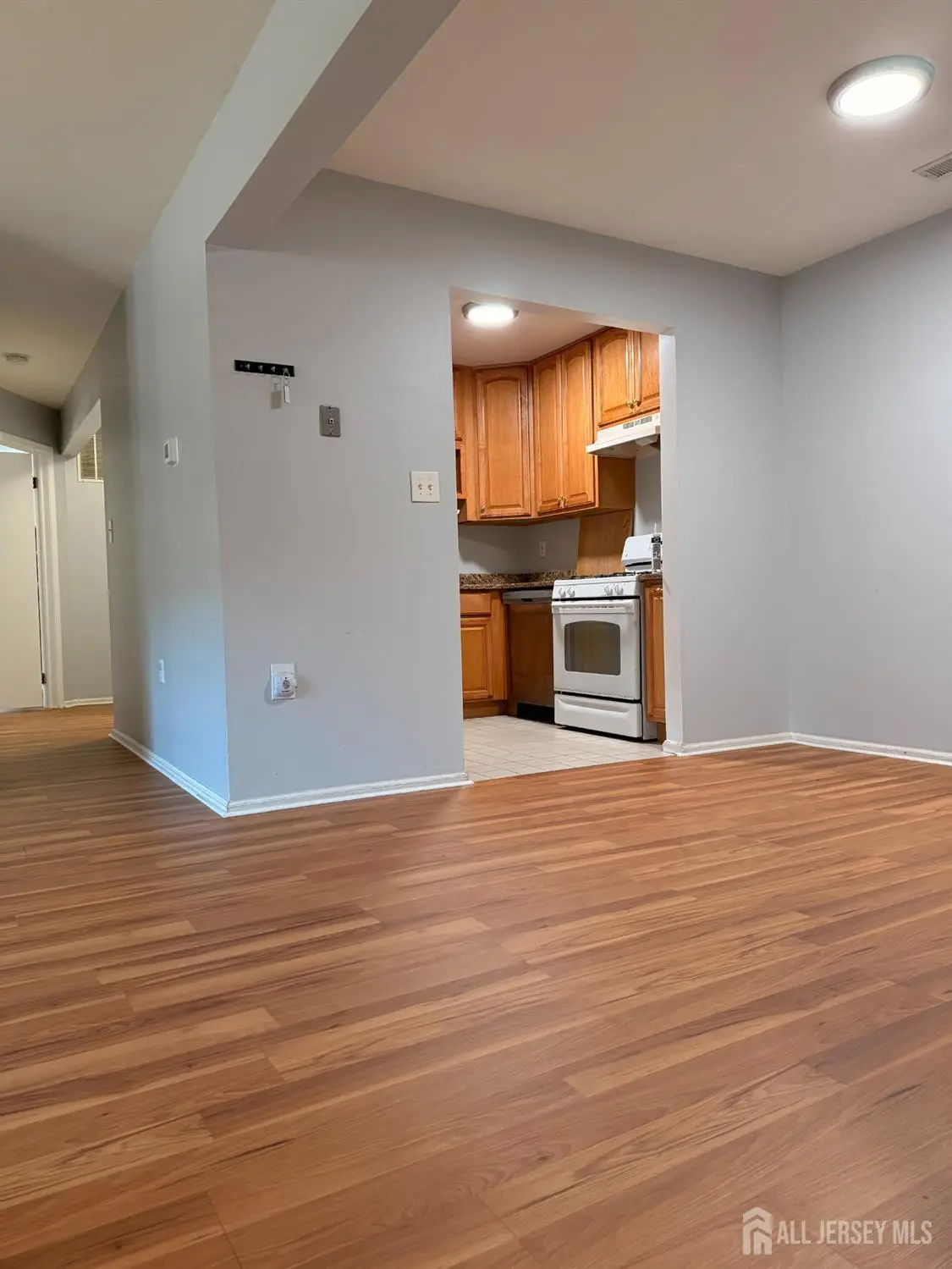 -115 Orlando Street, Edison, NJ 08817 - #1