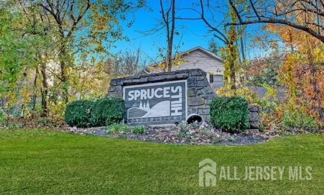 -905 Spruce Hills Drive Drive, Glen Gardner, NJ 08826 - #2