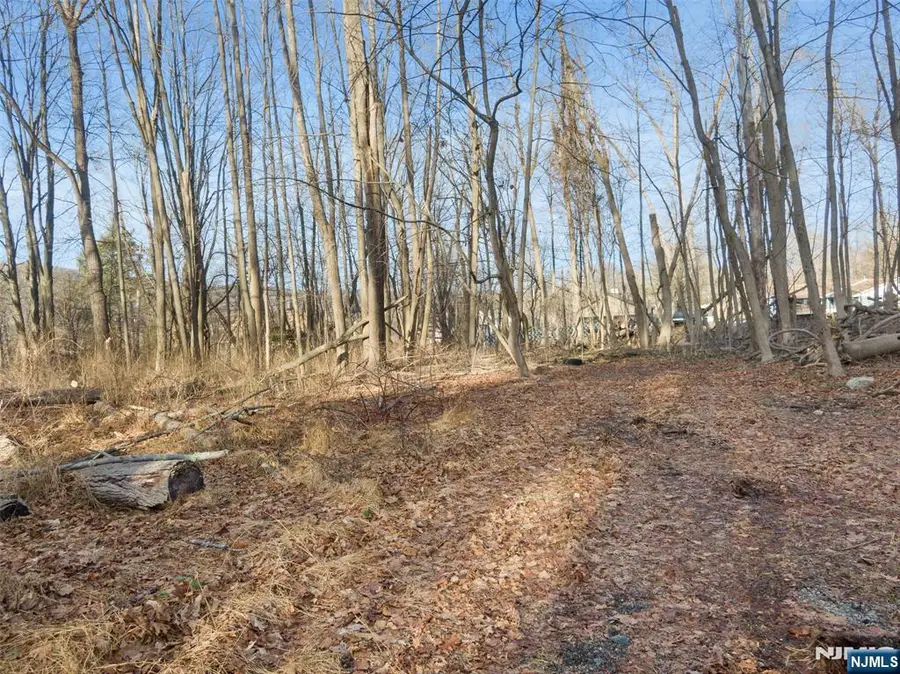 2046 Macopin Road, West Milford, NJ 07480 - #3