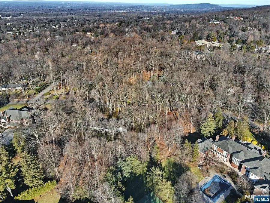 32 Litchfield Way, Alpine, NJ 07620 - Image #3