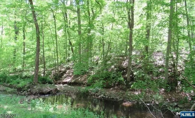 Sweet Hollow Road, Holland, NJ 08848 - #2