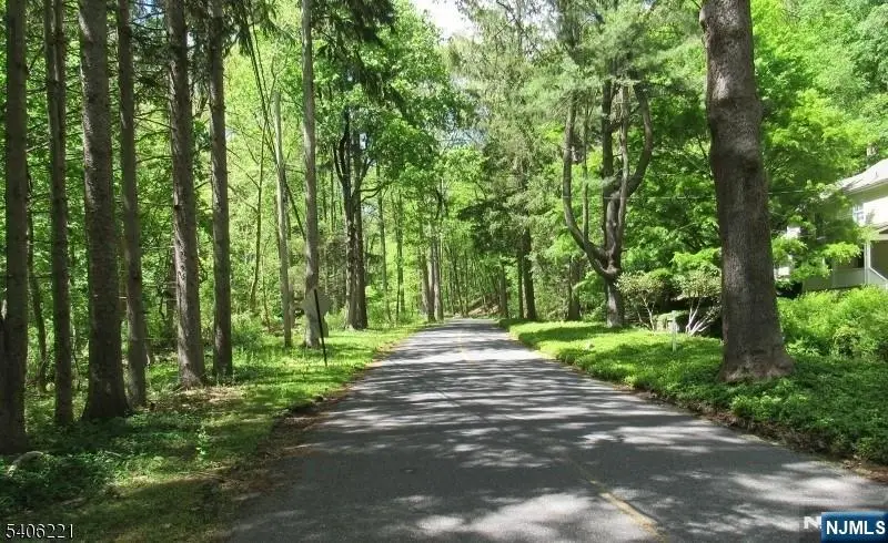 Sweet Hollow Road, Holland, NJ 08848 - #3