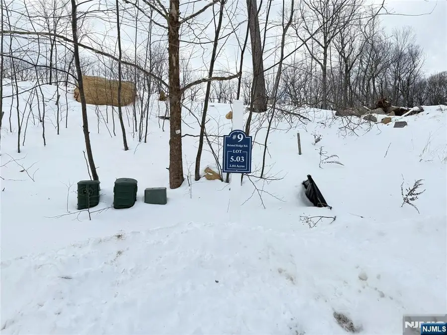 9 Bristol Ridge Road, Boonton Township, NJ 07005 - #3