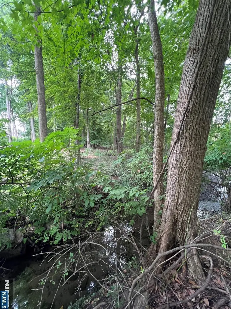 0 Clinton Avenue, Township Of Washington, NJ 07676 - #3