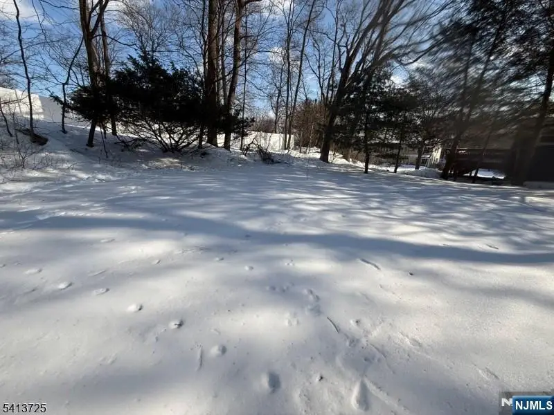 603 Bensel Drive, Mount Arlington, NJ 07850 - #2