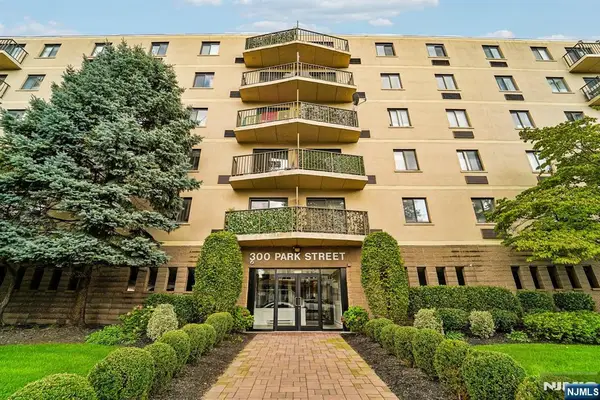 300 Park Street 1F, Hackensack, NJ 07601