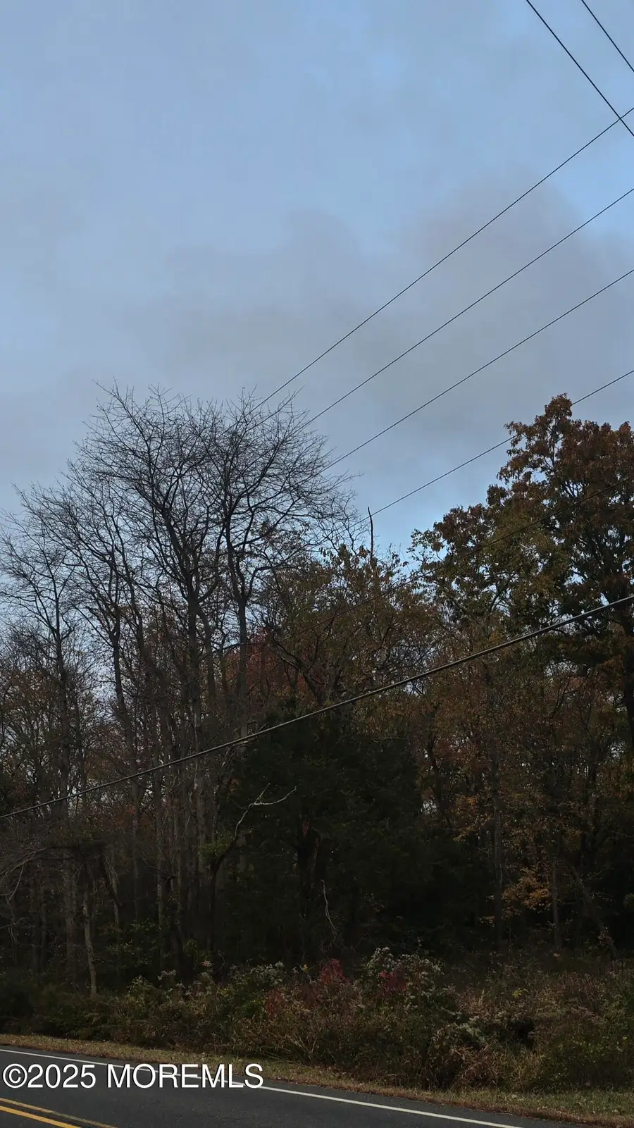 301 Meany Road, Wrightstown, NJ 08562 - Image #3