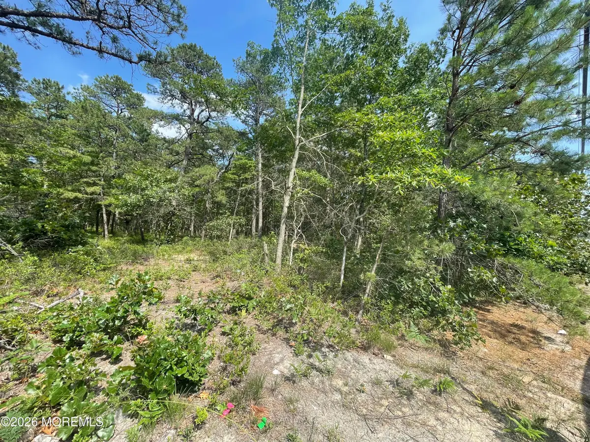 1463 Route 539, Little Egg Harbor Township, NJ 08087 - Image #1