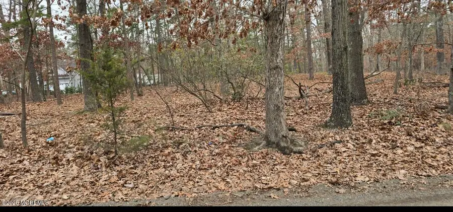 104 Wiseman Road, Jackson, NJ 08527 - Image #3