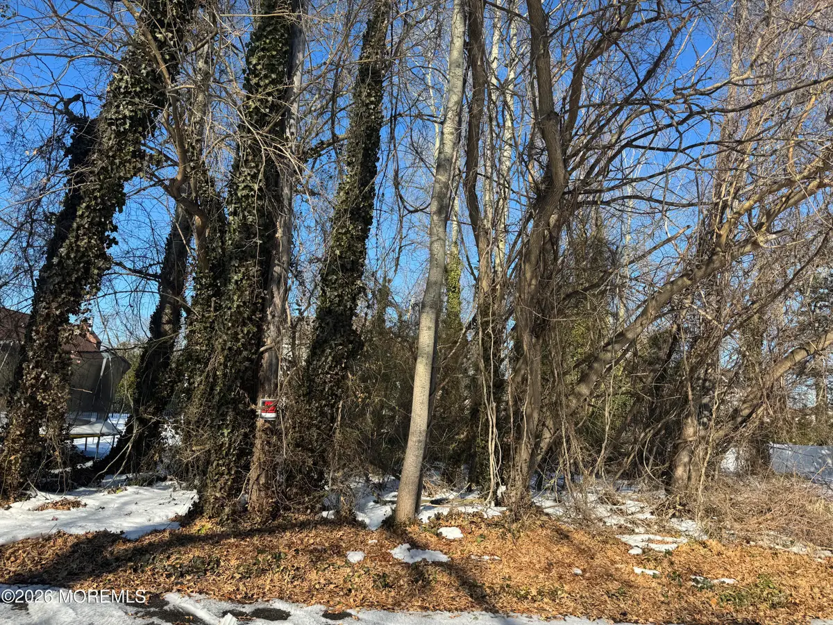 0 Lawshe Drive, Pine Beach, NJ 08741 - #1