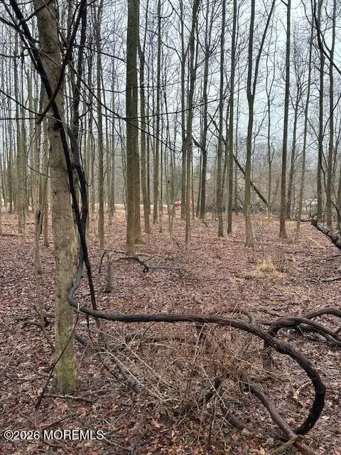 3 Fox Hill Drive, Millstone, NJ 08535 - #1