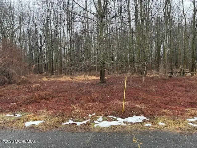 3 Fox Hill Drive, Millstone, NJ 08535 - #2