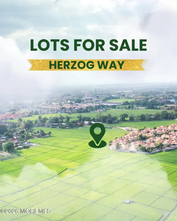 17 Herzog Way, Lakewood, NJ 08701