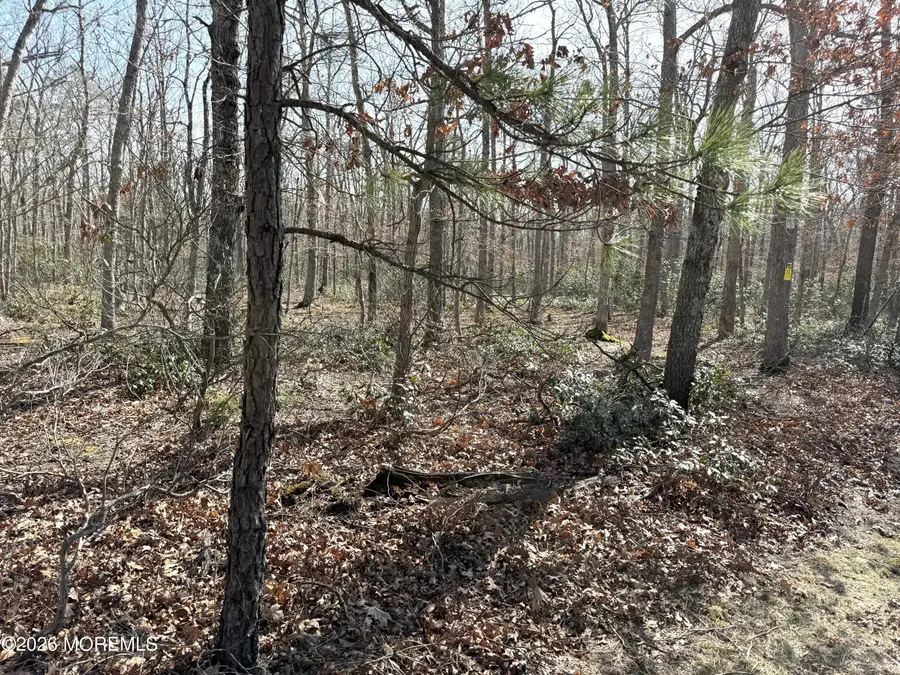 0 Cedar Bridge Road, Barnegat, NJ 08005 - #2
