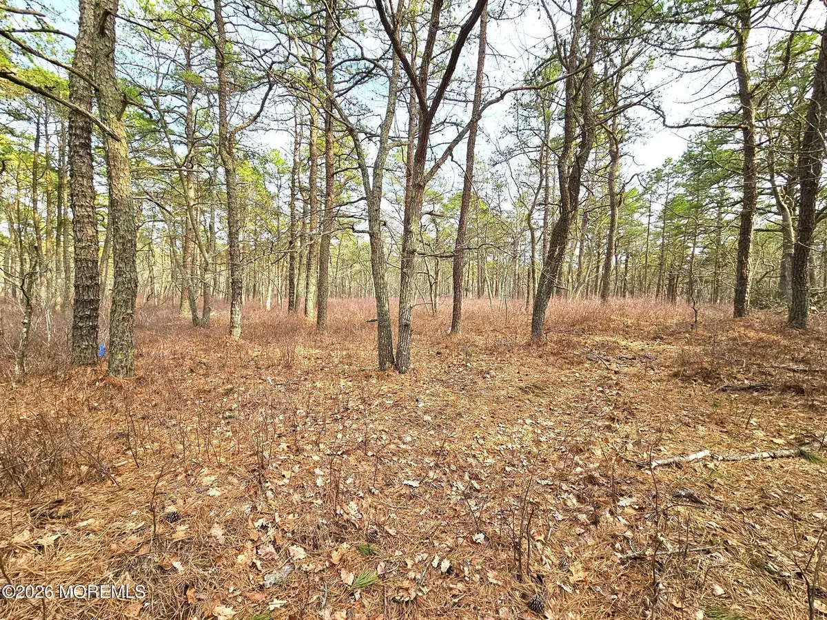 0 Birchwood Drive, Tuckerton, NJ 08087 - #1