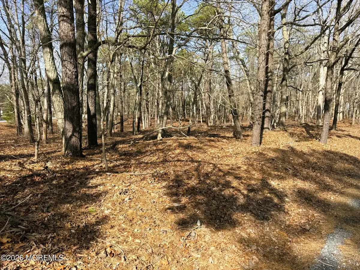 3 Pinewood Drive, Little Egg Harbor, NJ 08087 - #1
