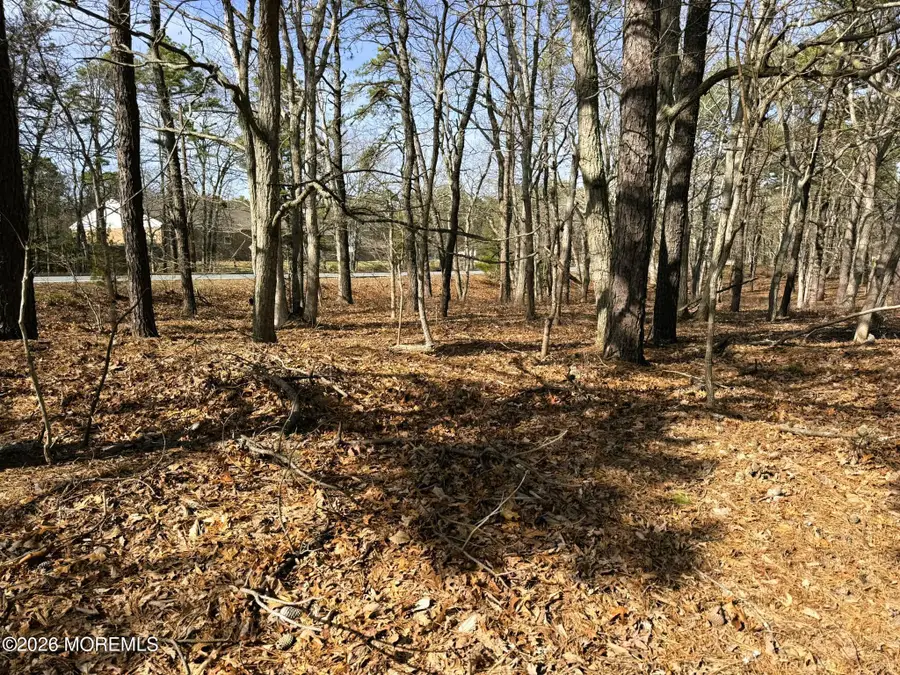 3 Pinewood Drive, Little Egg Harbor, NJ 08087 - #3