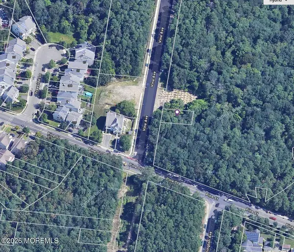 238 Vine Avenue, Lakewood, NJ 08701