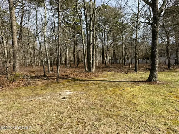 20 Pinewood Drive, Little Egg Harbor, NJ 08087