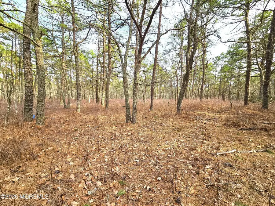 17 Birchwood Drive, Tuckerton, NJ 08087 - #2