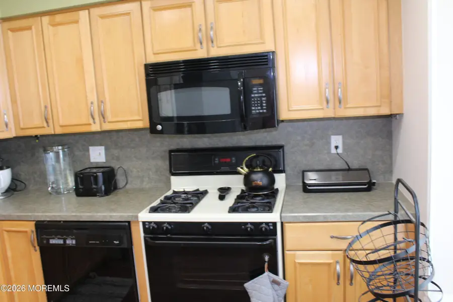 96 Joan Court, Jackson, NJ 08527 - #3