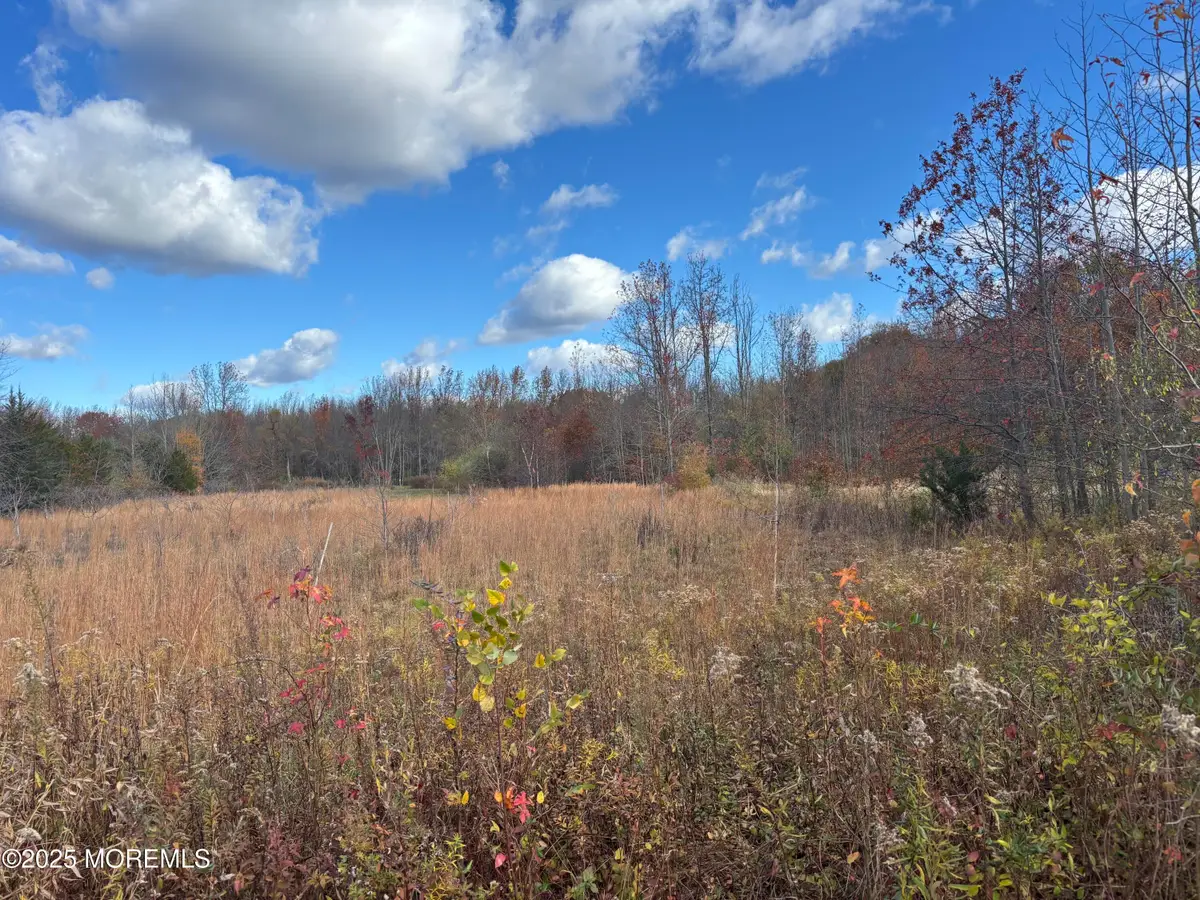 28 Mccaffery Road, Manalapan, NJ 07726 - #1
