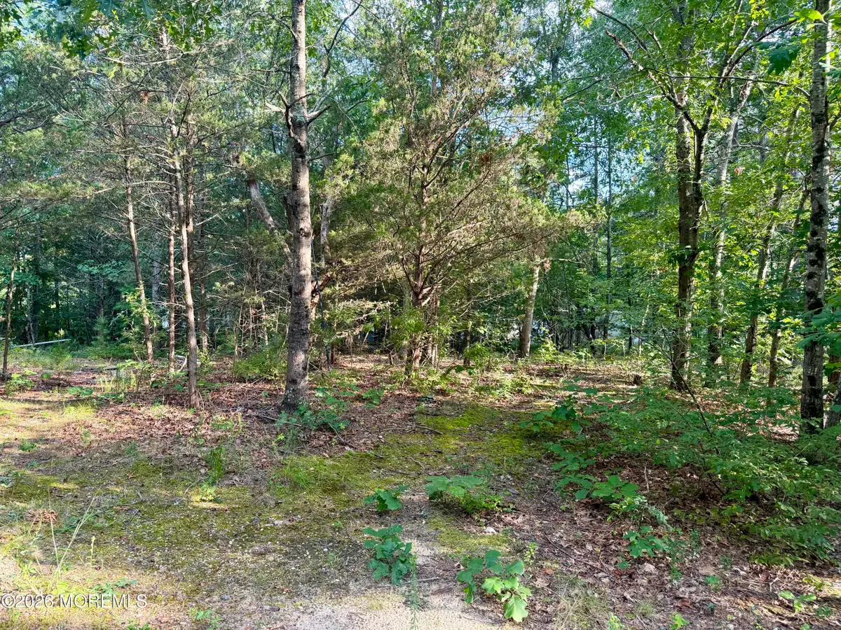 0 Lakehurst Avenue, Jackson, NJ 08527 - #1