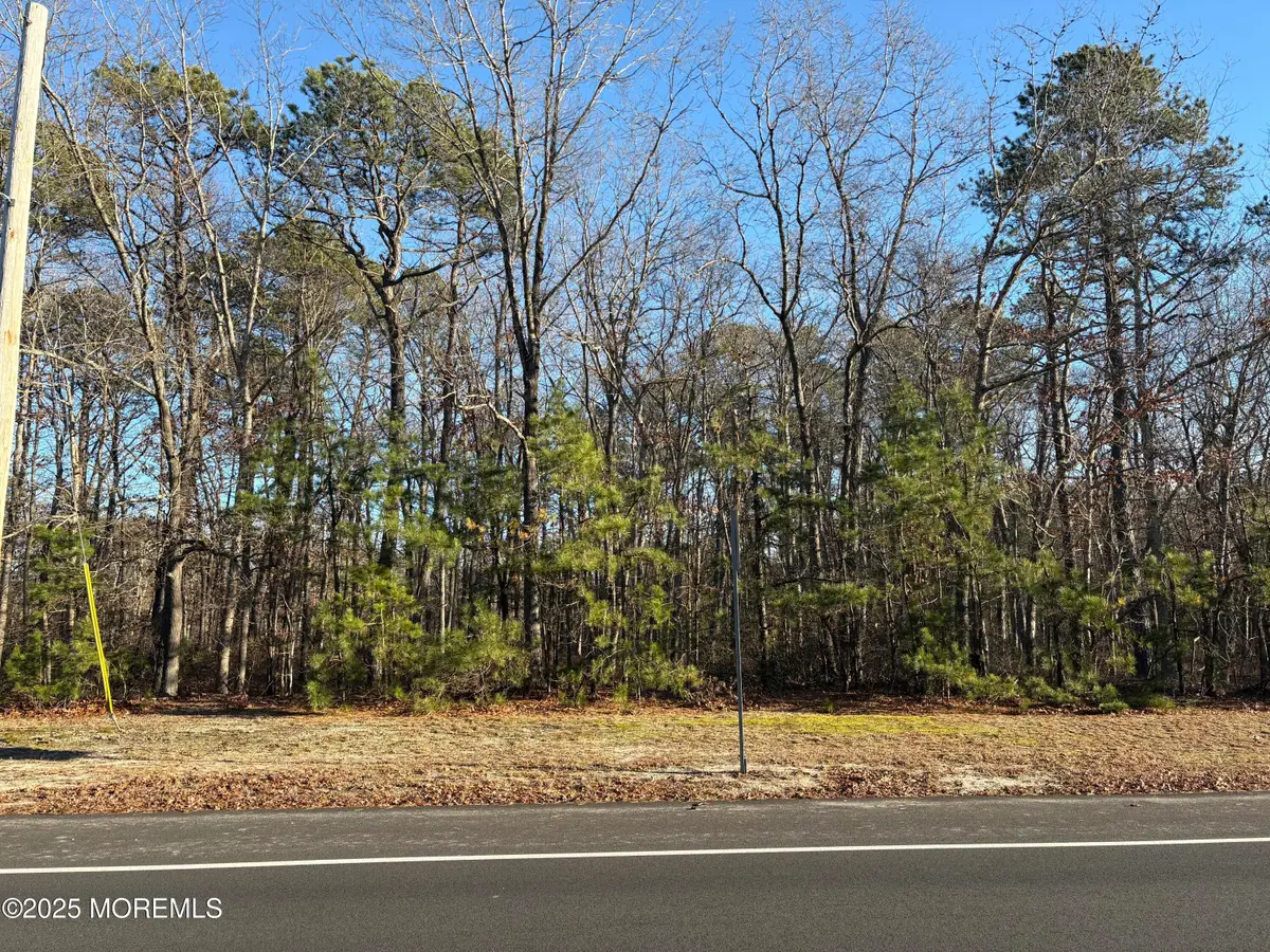 653 Lighthouse Drive, Barnegat, NJ 08005 - #1
